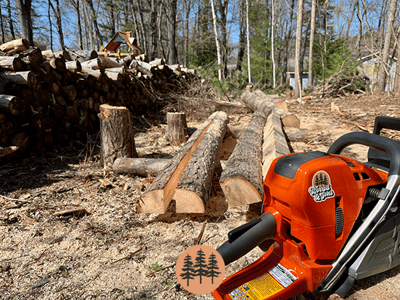 split-rail-fence-construction-splitting-rails